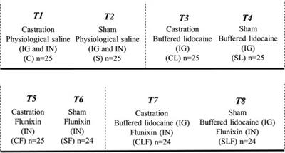 Efficacy of inguinal buffered lidocaine and intranasal flunixin meglumine on mitigating physiological and behavioral responses to pain in castrated piglets